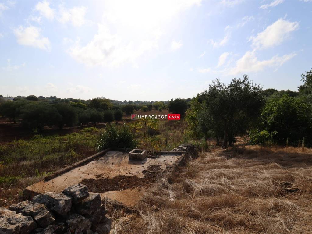 Terreno a Cisternino - Foto 2