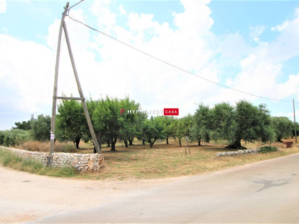 Terreno a Martina franca - Foto 2
