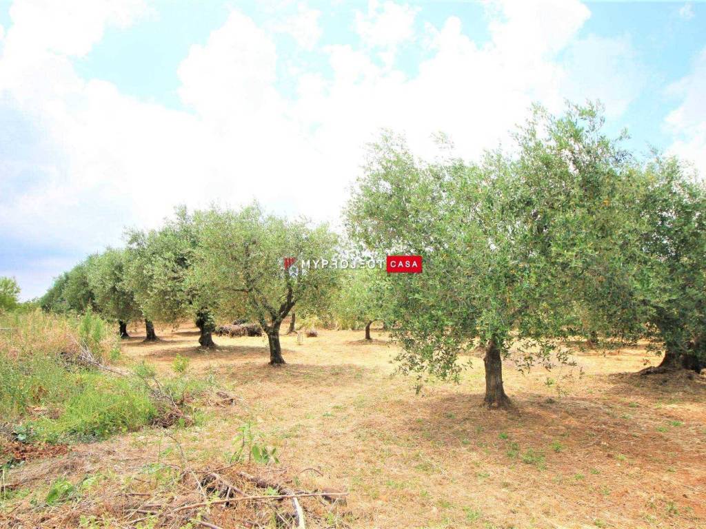 Terreno a Martina franca - Foto 3