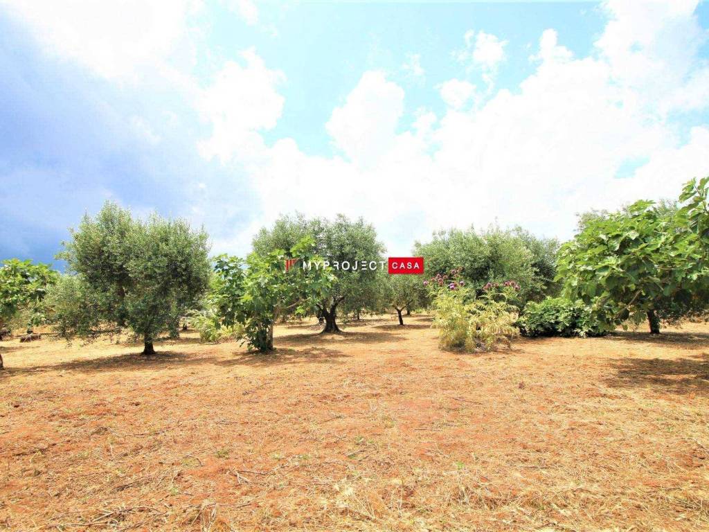 Terreno a Martina franca - Foto 4