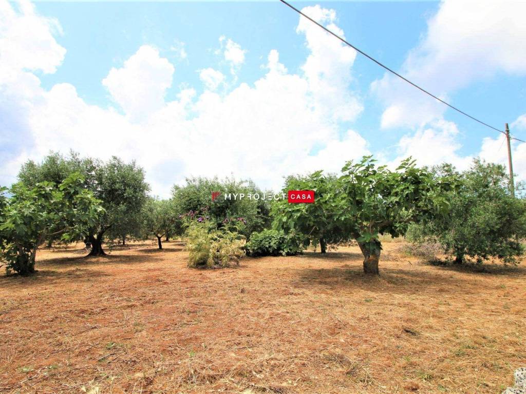 Terreno a Martina franca - Foto 5