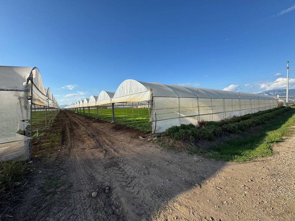 Terreno a Eboli in Via Campolongo - Foto 2