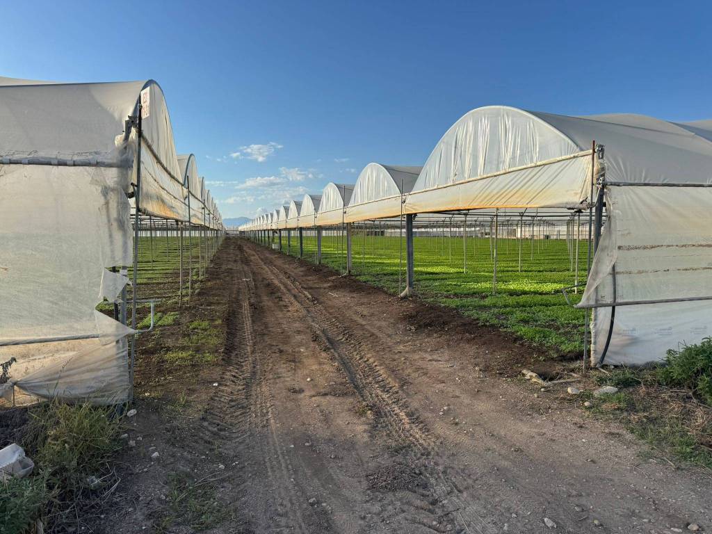 Terreno a Eboli in Via Campolongo - Foto 3