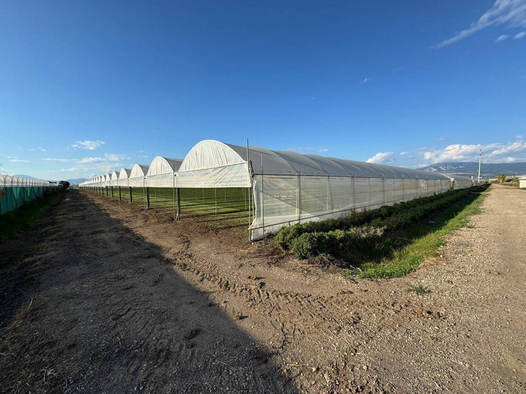 Terreno a Eboli in Via Campolongo - Foto 4