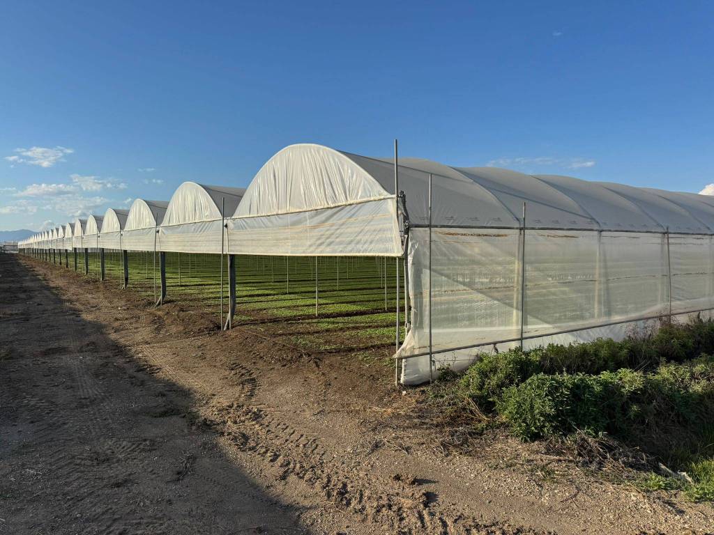 Terreno a Eboli in Via Campolongo - Foto 5