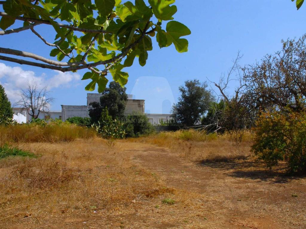 Terreno a Presicce-acquarica in Via 21 Aprile, 97 - Foto 4