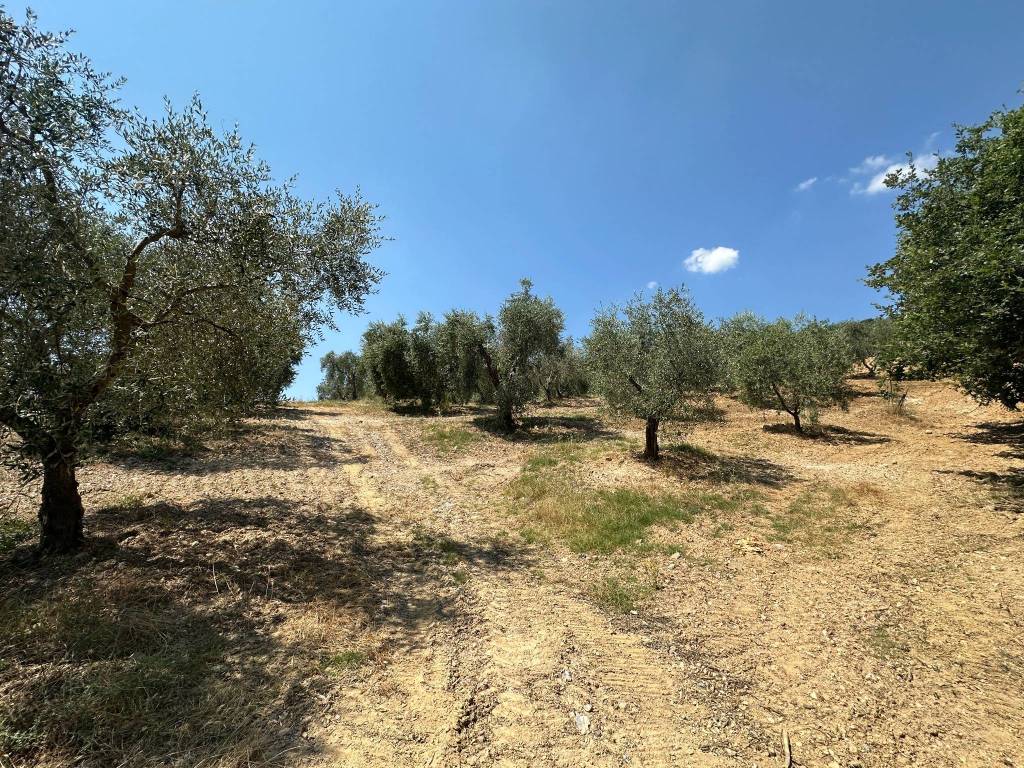 Rustico / casale a Campagnatico in Strada Vicolo delle Súghere - Foto 3