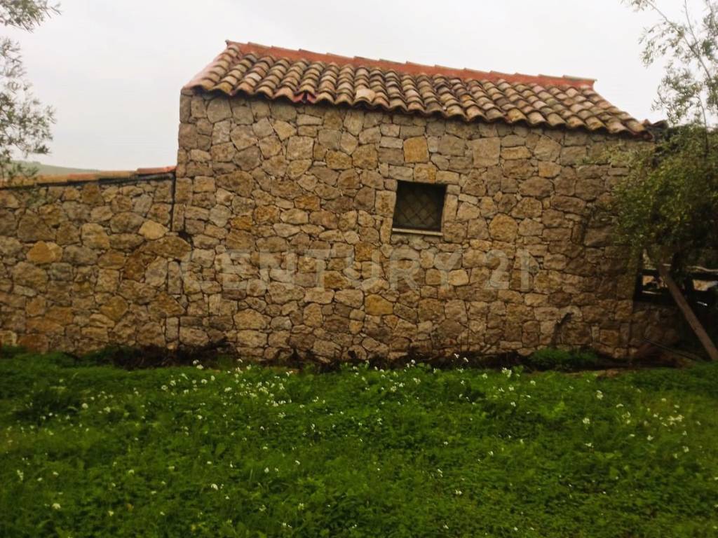 Terreno a Centuripe in Contrada Masseria Grande - Foto 5