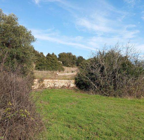 Terreno a Ceglie messapica in Contrada Fragnite - Foto 5
