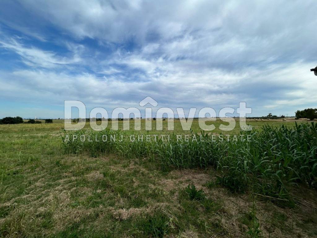 Rustico / casale a Capalbio in Centro F - Foto 2