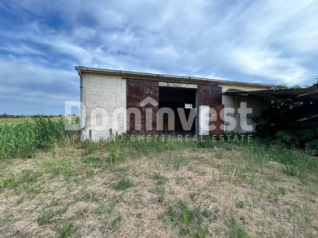 Rustico / casale a Capalbio in Centro F - Foto 3