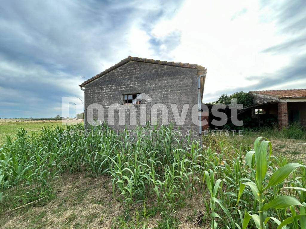 Rustico / casale a Capalbio in Centro F - Foto 4