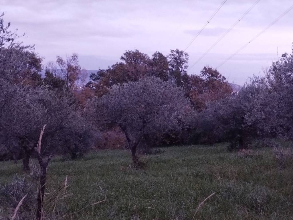 Terreno a Montecorvino pugliano in Via Macchia Morese - Foto 3