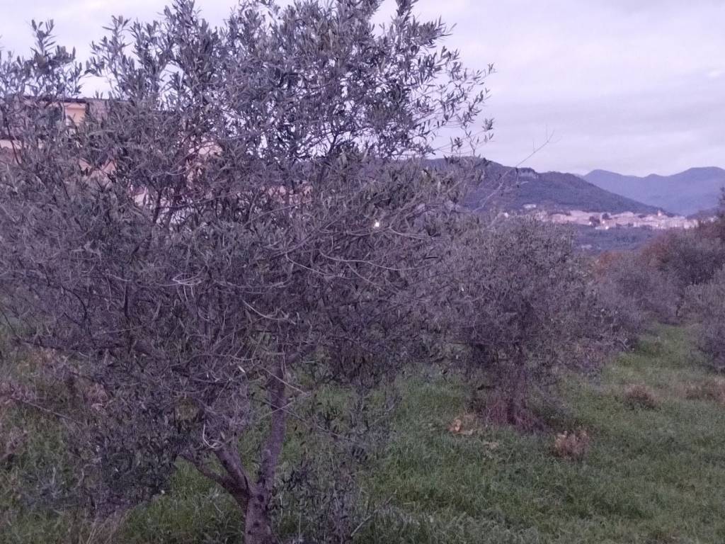 Terreno a Montecorvino pugliano in Via Macchia Morese - Foto 4