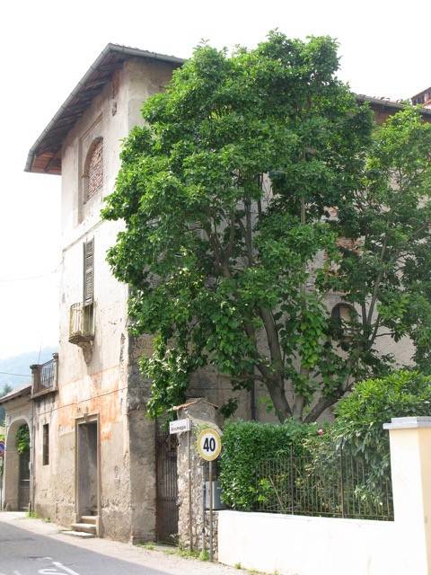 Rustico / casale a Cuveglio - Foto 3