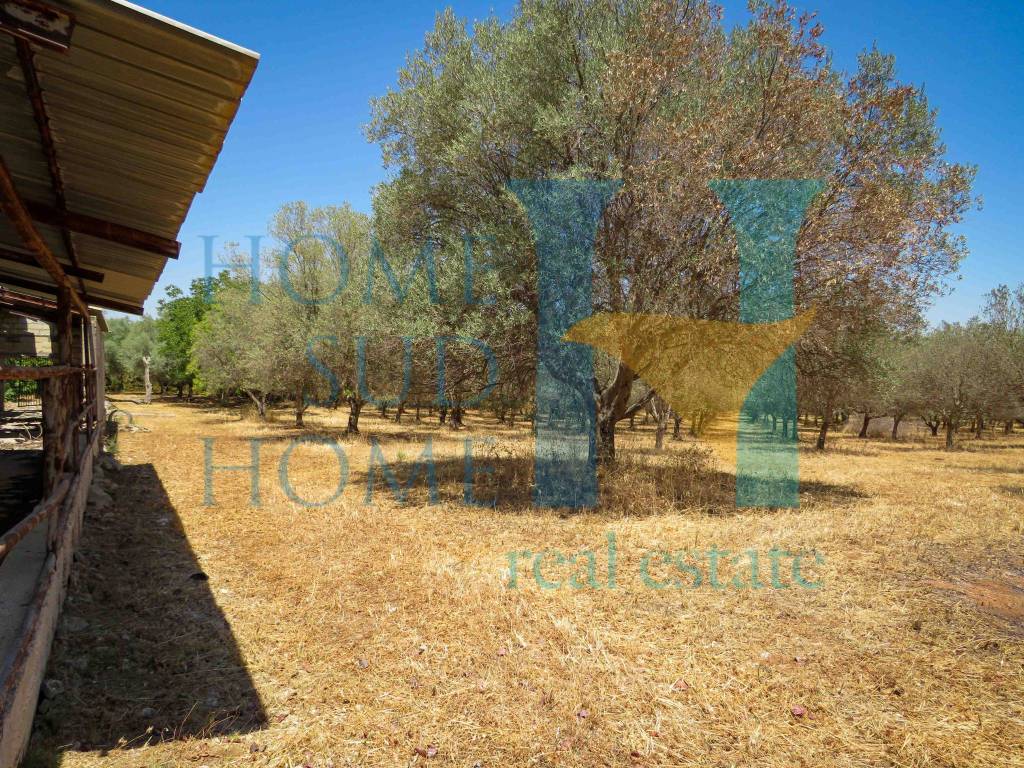 Terreno a Noto in Via Tommaso Fazello, 228 - Foto 2
