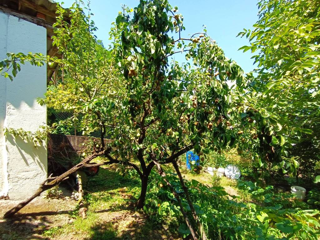 Villa a Gravellona toce in Via Martiri - Foto 3