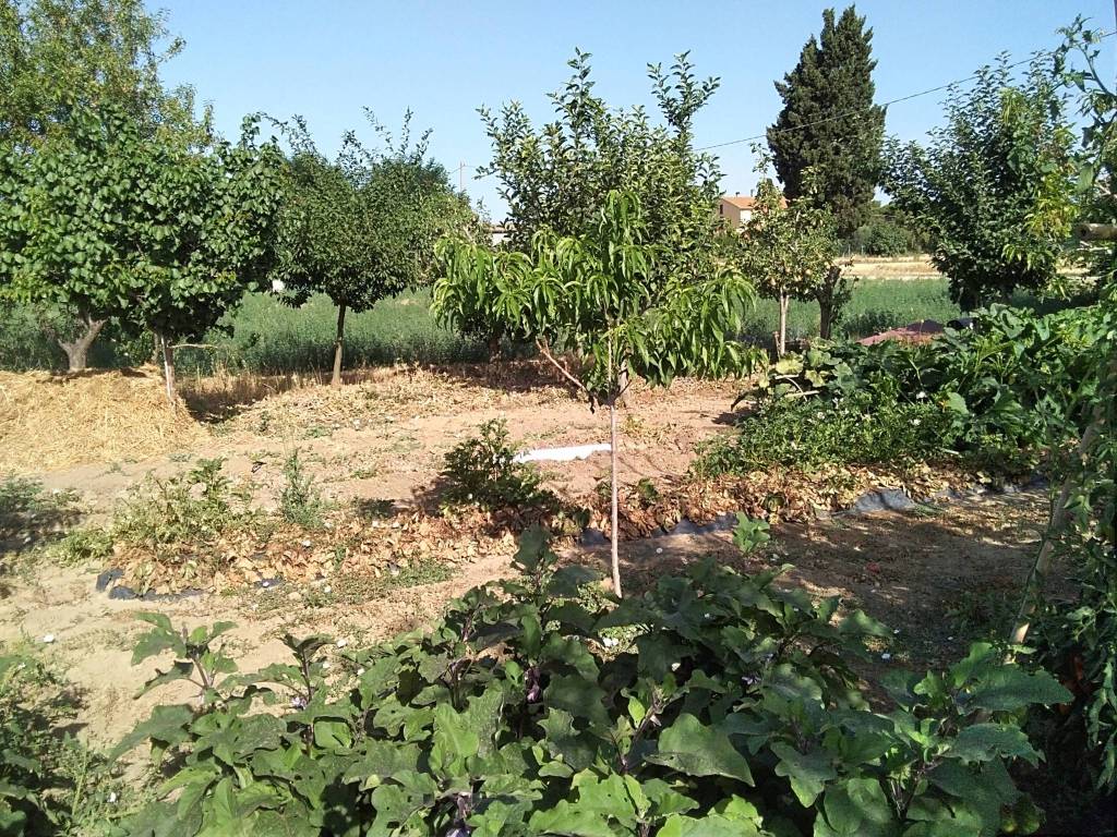 Terreno a Campiglia marittima in Via della Monaca - Foto 3