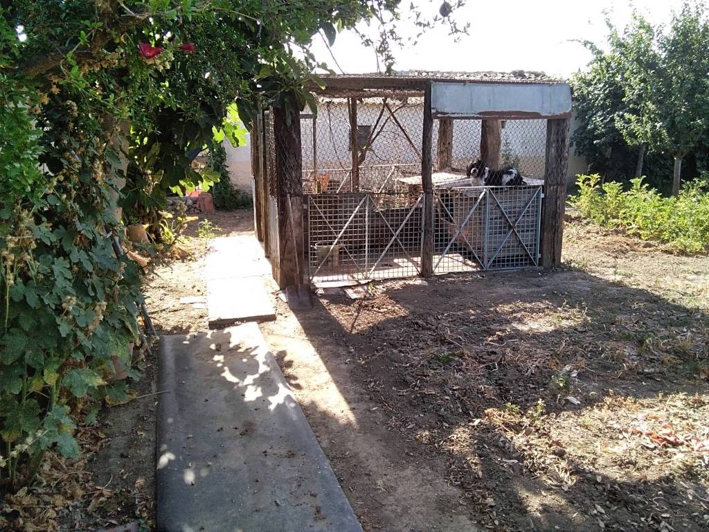 Terreno a Campiglia marittima in Via della Monaca - Foto 4