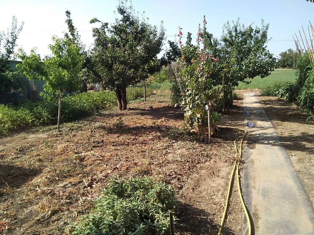 Terreno a Campiglia marittima in Via della Monaca - Foto 5