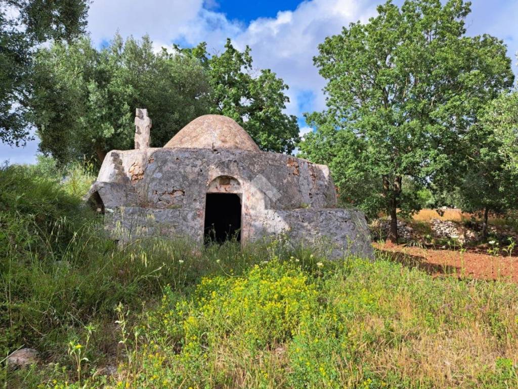 Rustico / casale a Carovigno in Contrada Polinisso - Foto 2