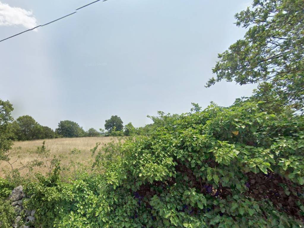 Terreno a Ostuni in Contrada San Salvatore - Foto 3