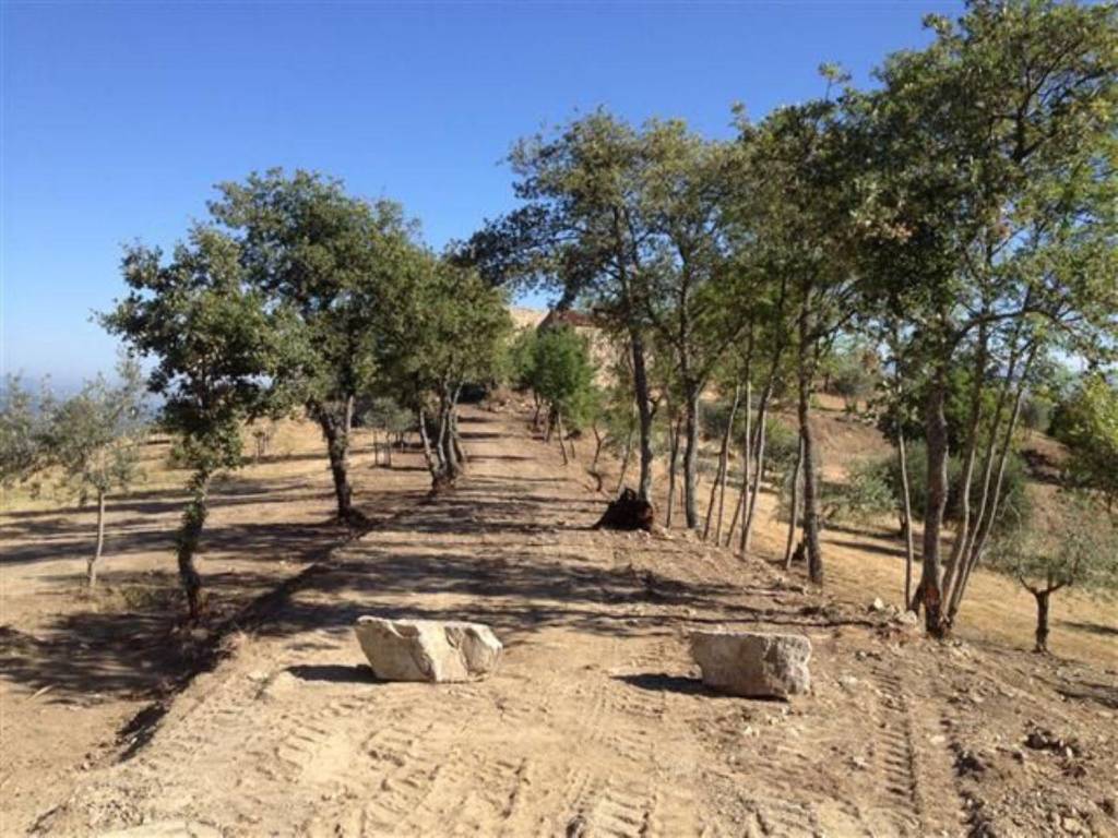 Rustico / casale a Bucine in Strada Provinciale Procacci - Foto 2