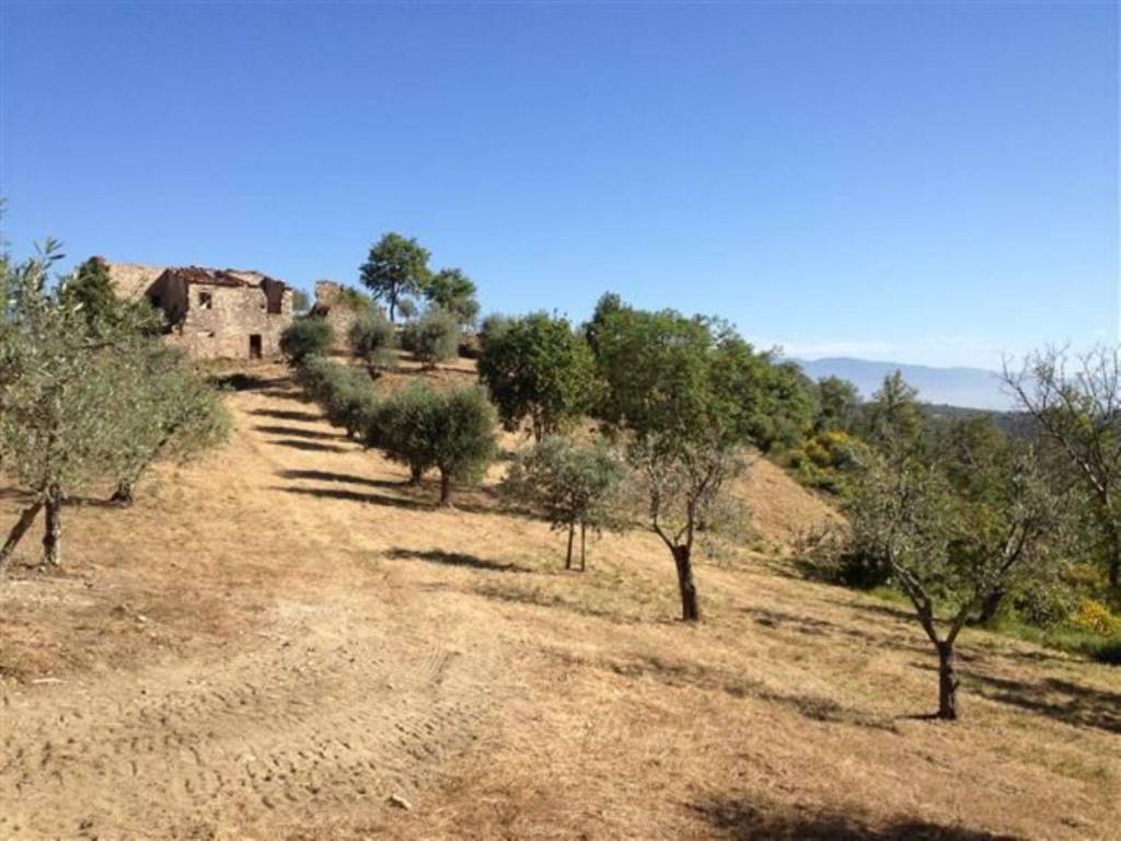 Rustico / casale a Bucine in Strada Provinciale Procacci - Foto 3
