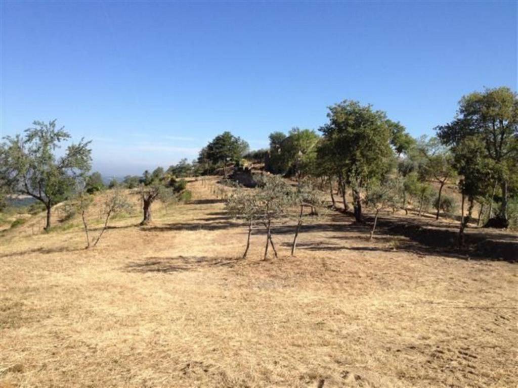 Rustico / casale a Bucine in Strada Provinciale Procacci - Foto 5