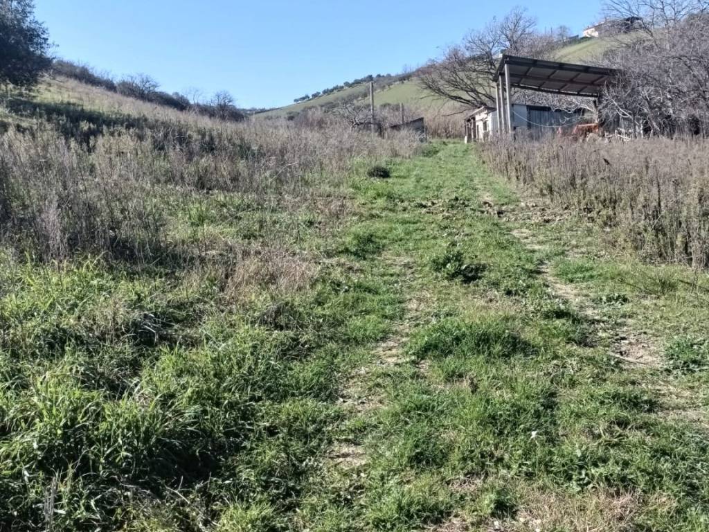 Terreno a Loreto aprutino - Foto 2