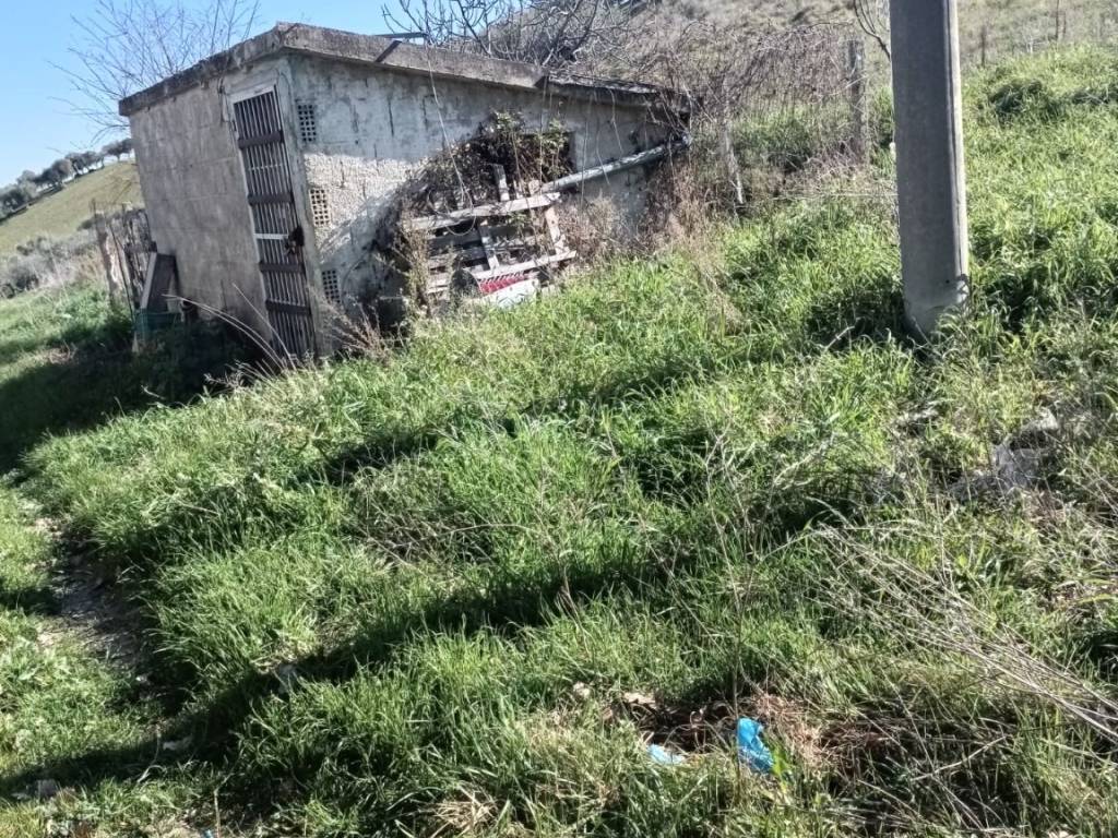 Terreno a Loreto aprutino - Foto 3