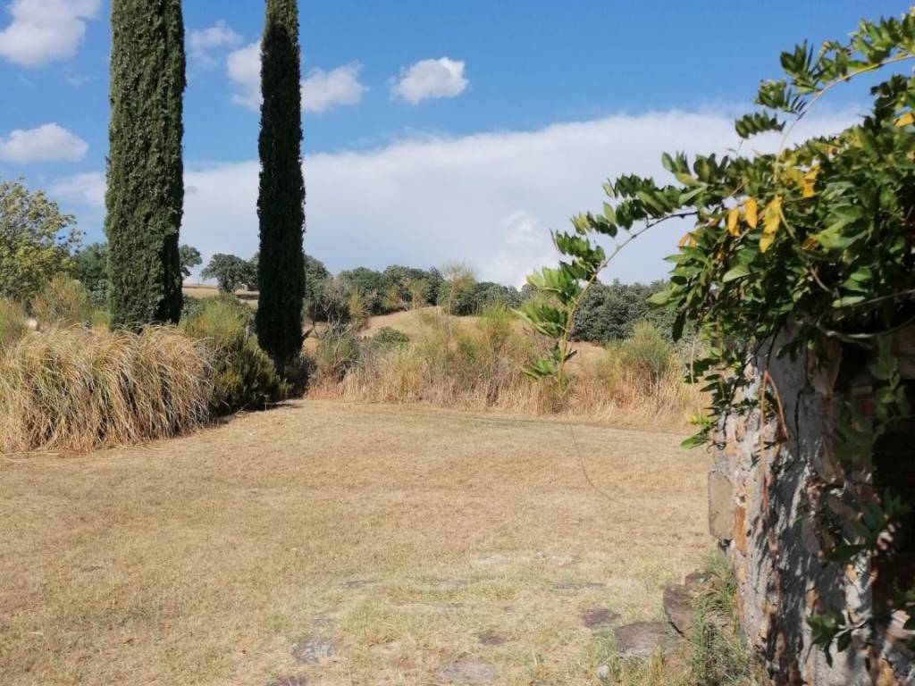 Rustico / casale a Manciano in Strada Provinciale Sovana - Foto 4