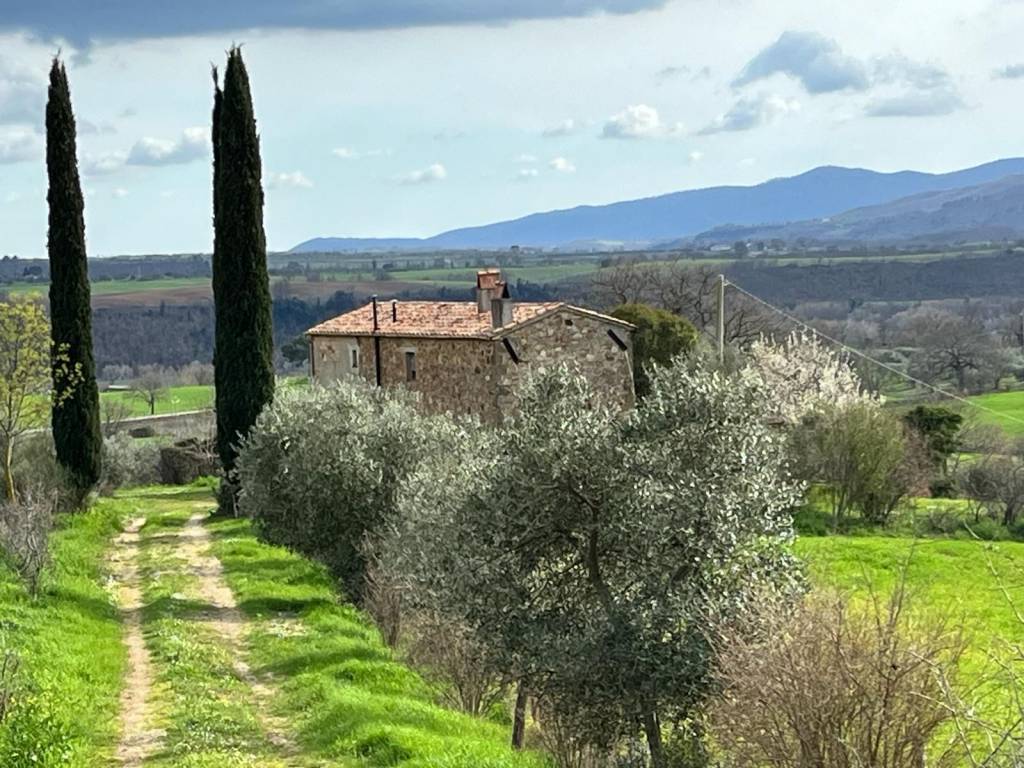 Rustico / casale a Manciano in Strada Provinciale Sovana - Foto 5