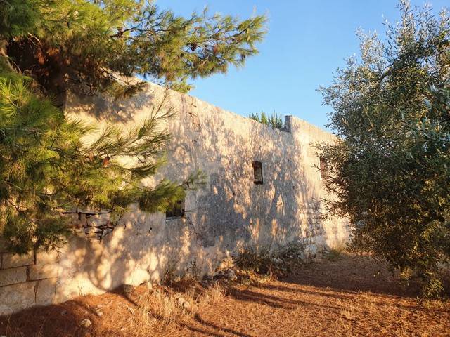 Rustico / casale a Bisceglie - Foto 3