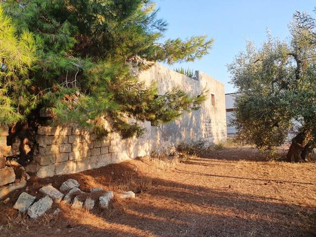 Rustico / casale a Bisceglie - Foto 4