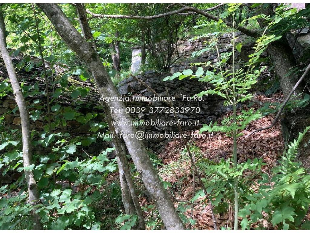 Rustico / casale a Valle cannobina in Località Solgia, 1 - Foto 2