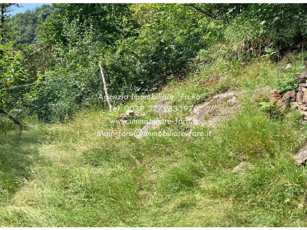 Rustico / casale a Valle cannobina in Località Solgia, 1 - Foto 5