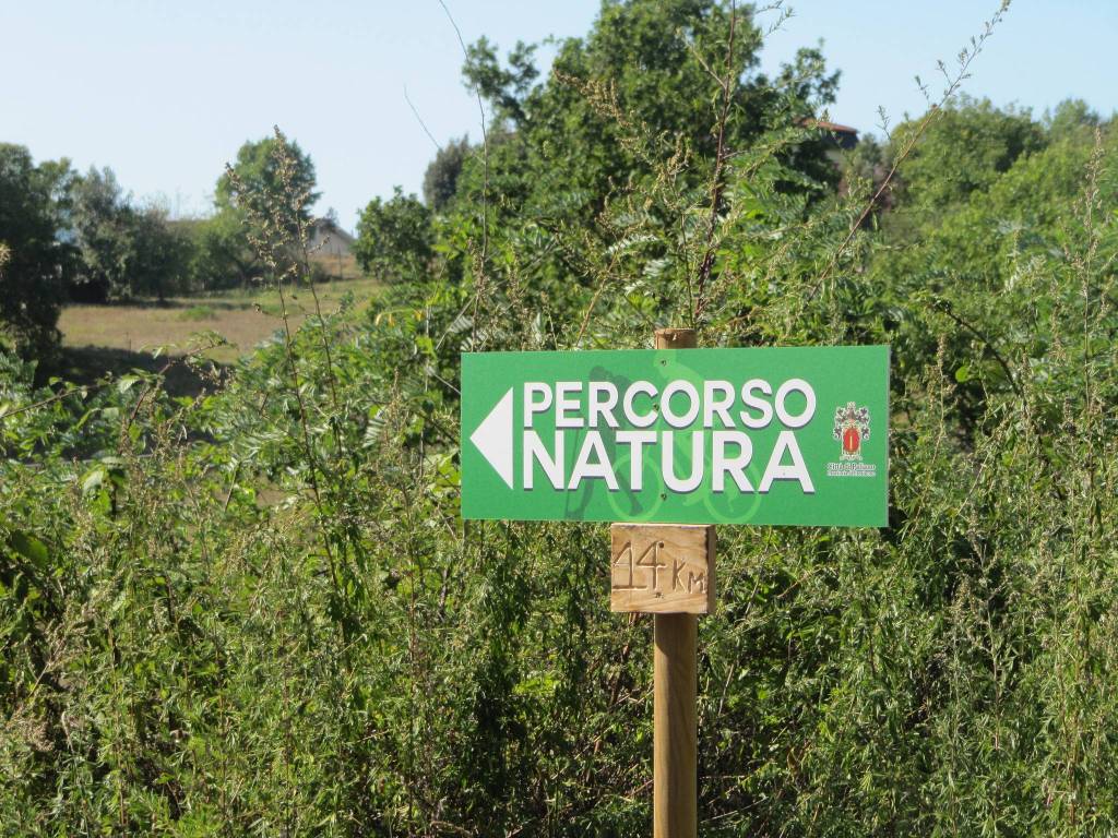 Immobile a Paliano in Via Palianese Sud - Foto 3