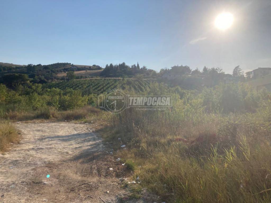 Terreno a Controguerra in Contrada Taiano 14 - Foto 2