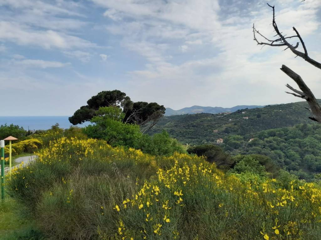 Terreno a Savona in Via Alla Stra - Foto 3