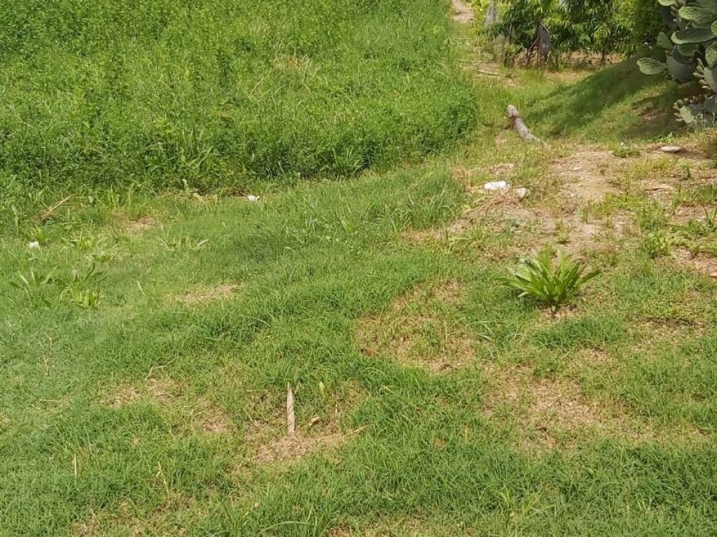Terreno a Sant'elpidio a mare in Via Filippo Turati - Foto 2