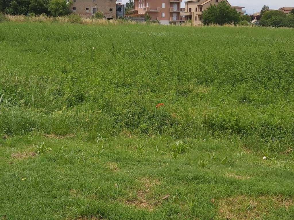 Terreno a Sant'elpidio a mare in Via Filippo Turati - Foto 4