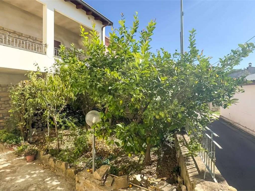 Casa indipendente a Escolca in Via Regina Elena, 0 - Foto 2