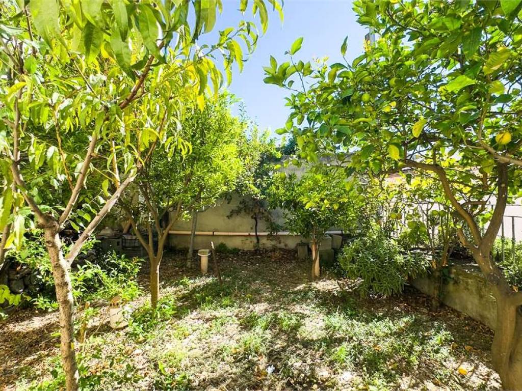 Casa indipendente a Escolca in Via Regina Elena, 0 - Foto 3