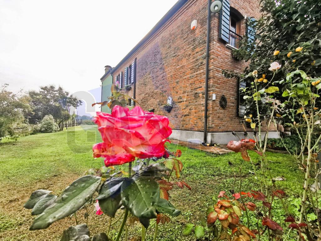 Villa a Sermide e felonica in Via Albarello, 16 - Foto 5