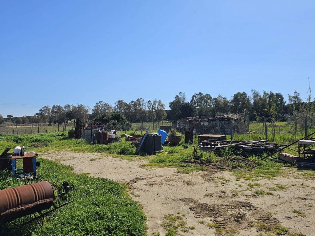 Villa a Grosseto in strada del pollino - Foto 3