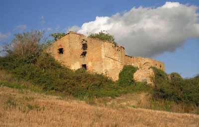 Rustico / casale a Albinea - Foto 2