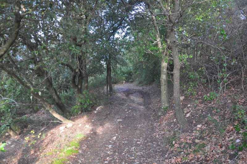 Rustico / casale a Albinea - Foto 3