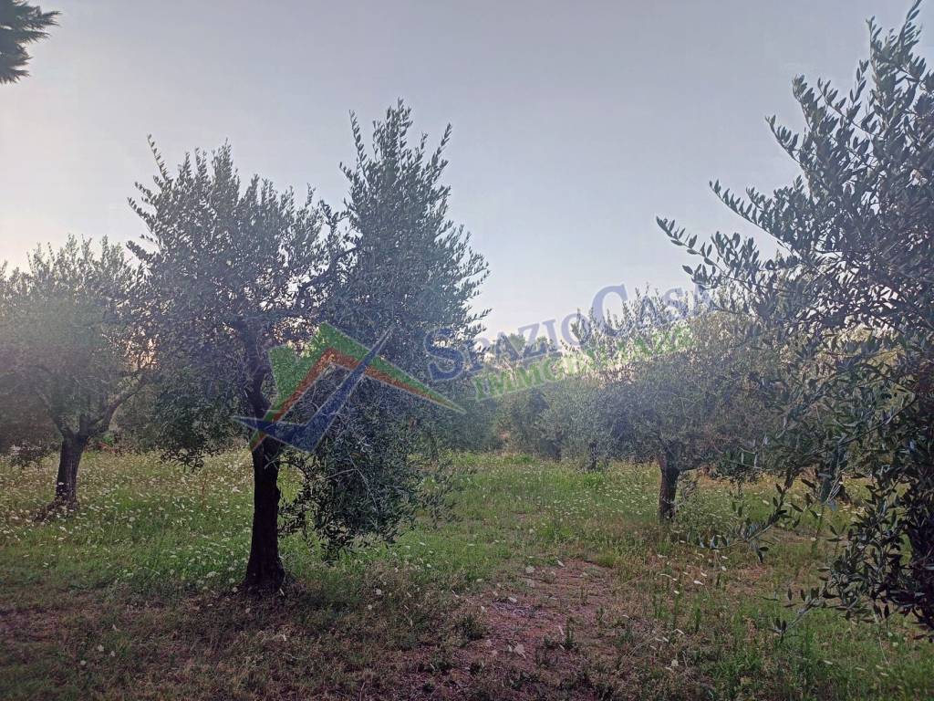 Terreno a Giulianova in Via Campocelletti - Foto 4