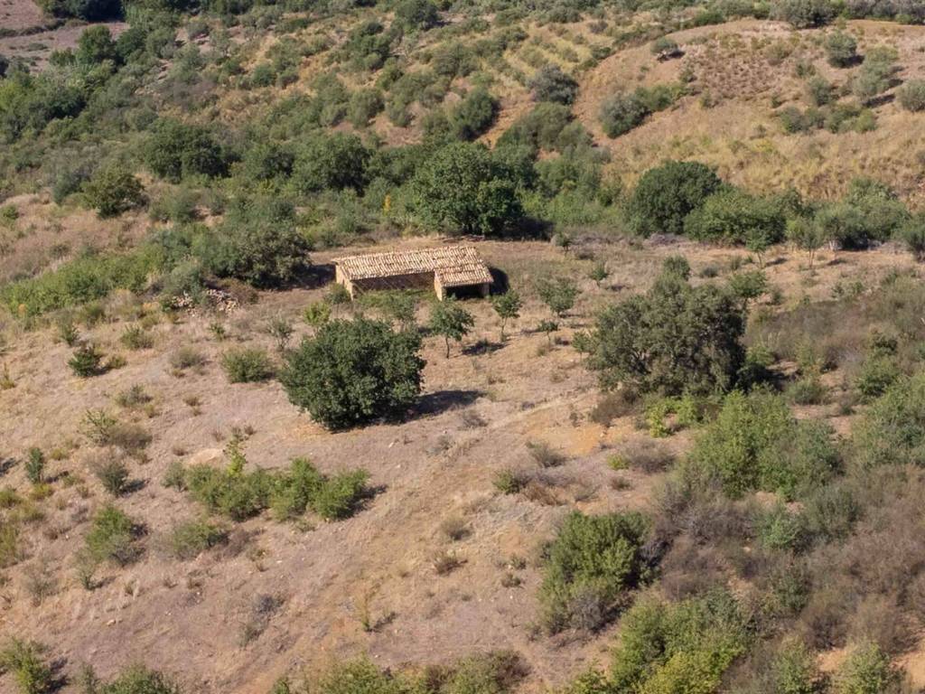 Terreno a Collesano - Foto 4